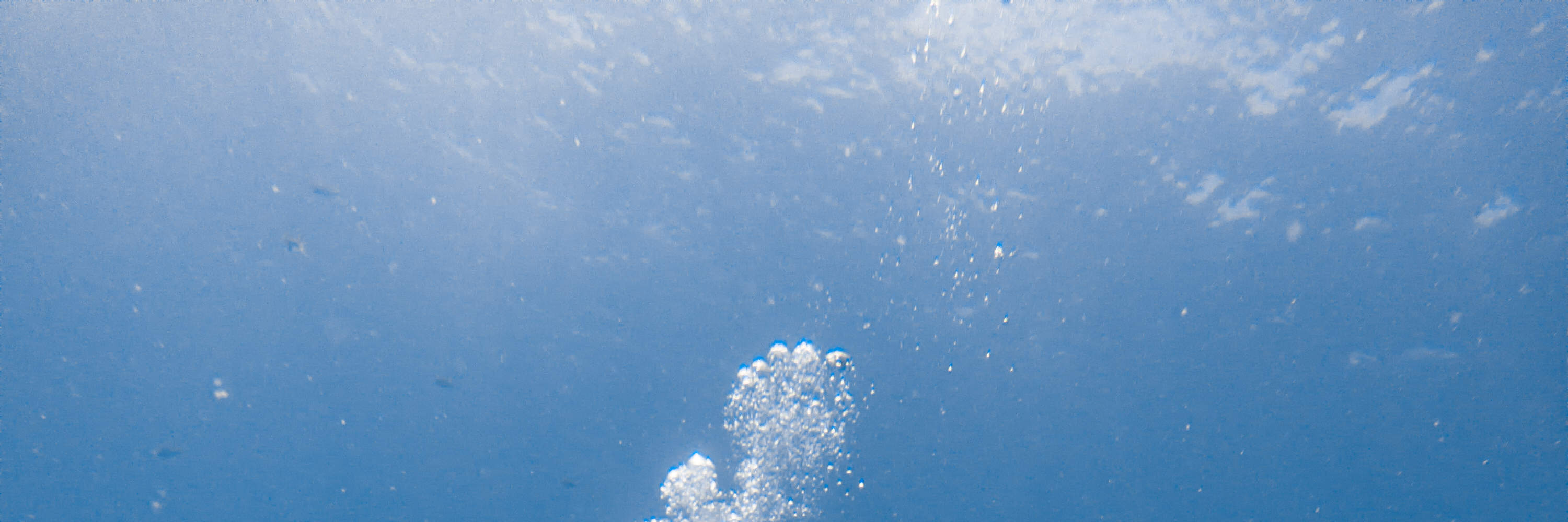 Curso de buceo en aguas abiertas E-learning