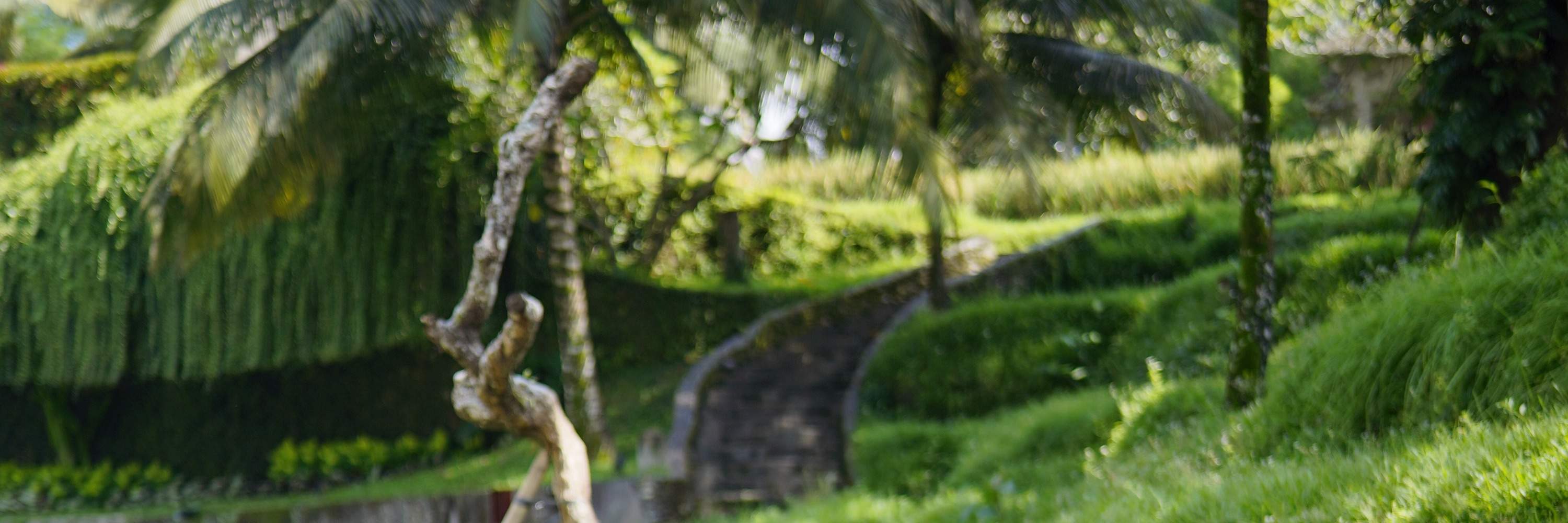 Detik Foto di The Boat