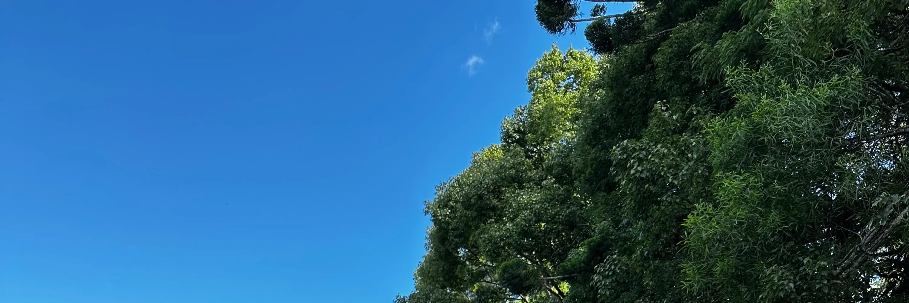 家庭活动
