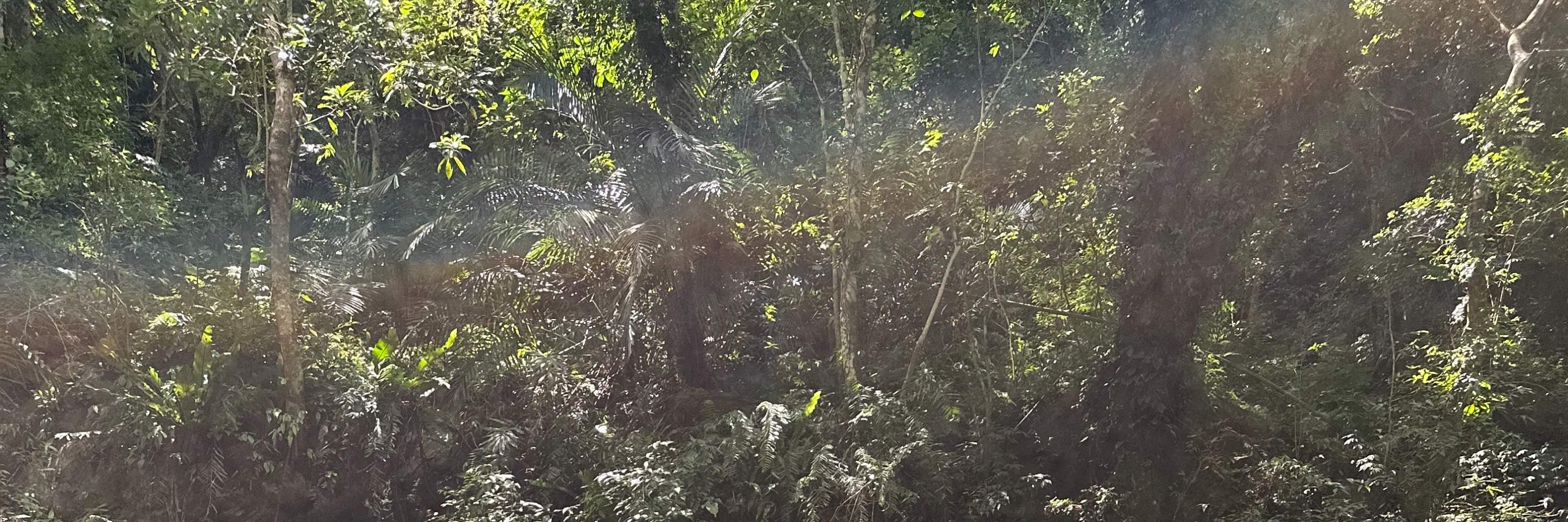 【那山那谷】宜蘭南澳｜金岳瀑布シャワークライミング半日ツアー