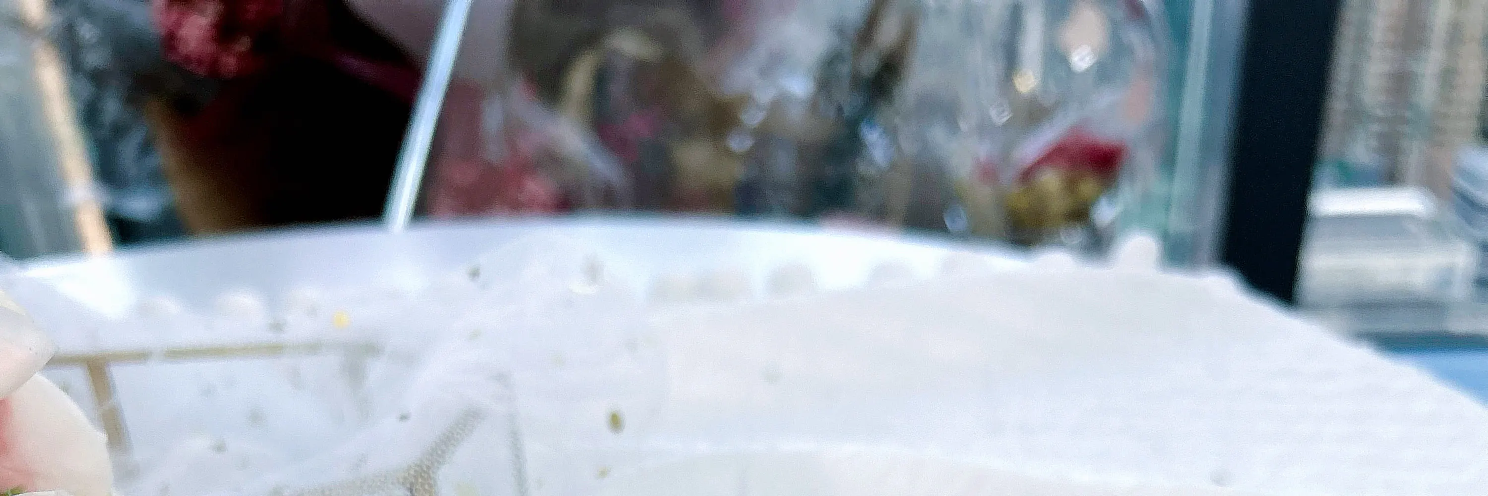 玫瑰花造型手工唇膏工作坊