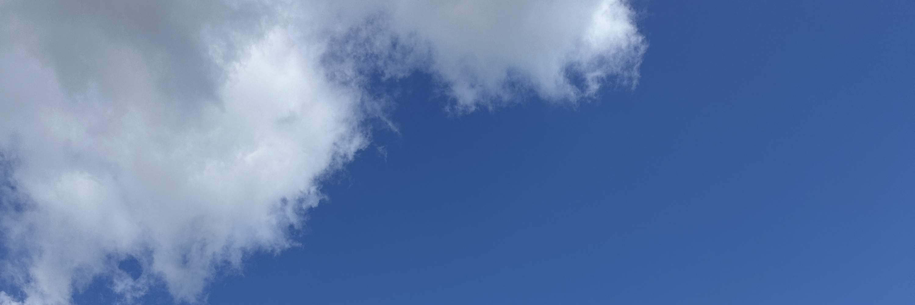 Tour riêng trải nghiệm lái xe JDM Drift Tokyo Drift Daikoku