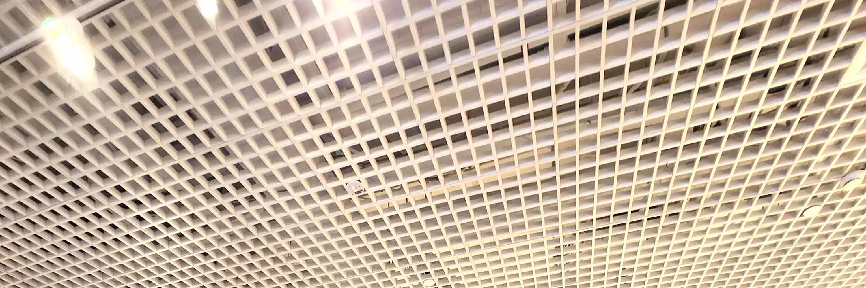 客舱设计用于行李