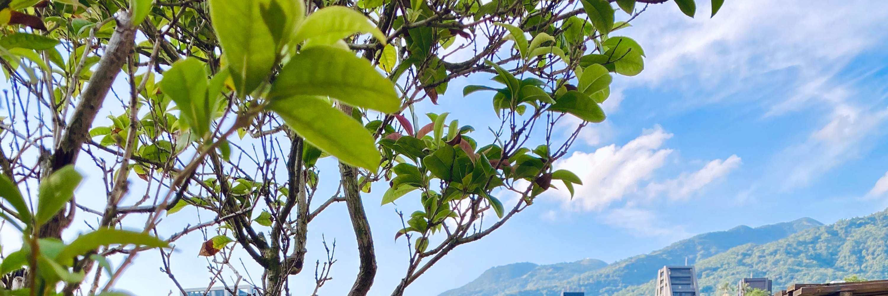 Бэйтоу: Купание в горячем источнике в двухместном номере｜Купание в общественном бассейне под открытым небом｜Опыт варки яиц в горячем источнике