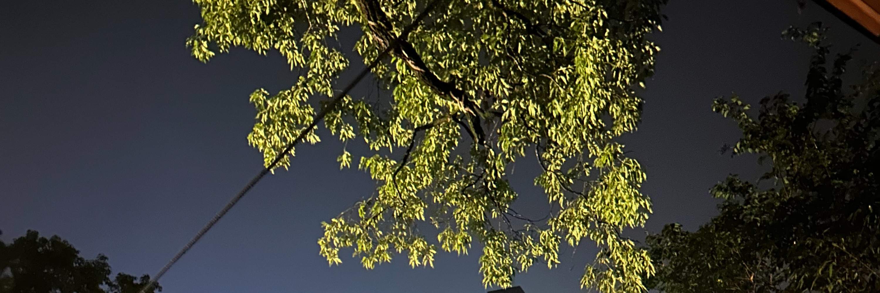 Hutan Mandian Air Panas Taman Rekreasi Jiaoxi