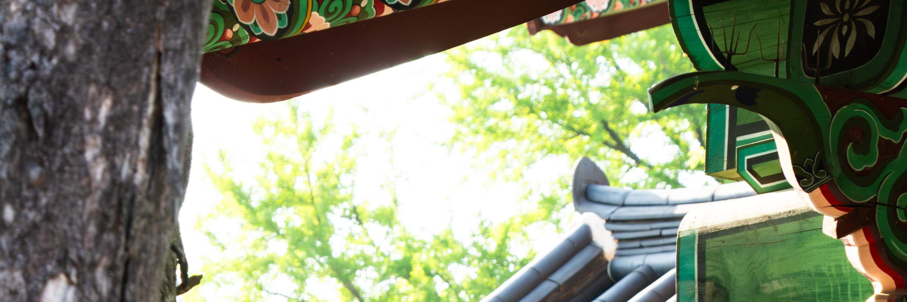 Seoul : Sesi fotografi Hanbok di Istana