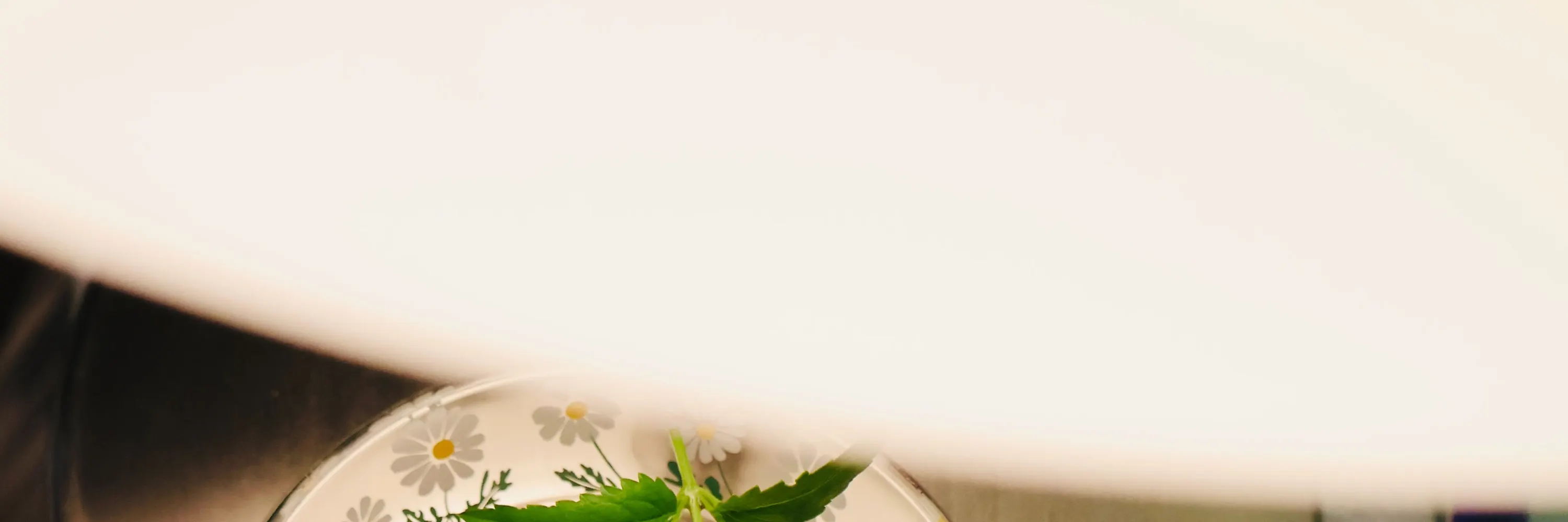 青春鸡