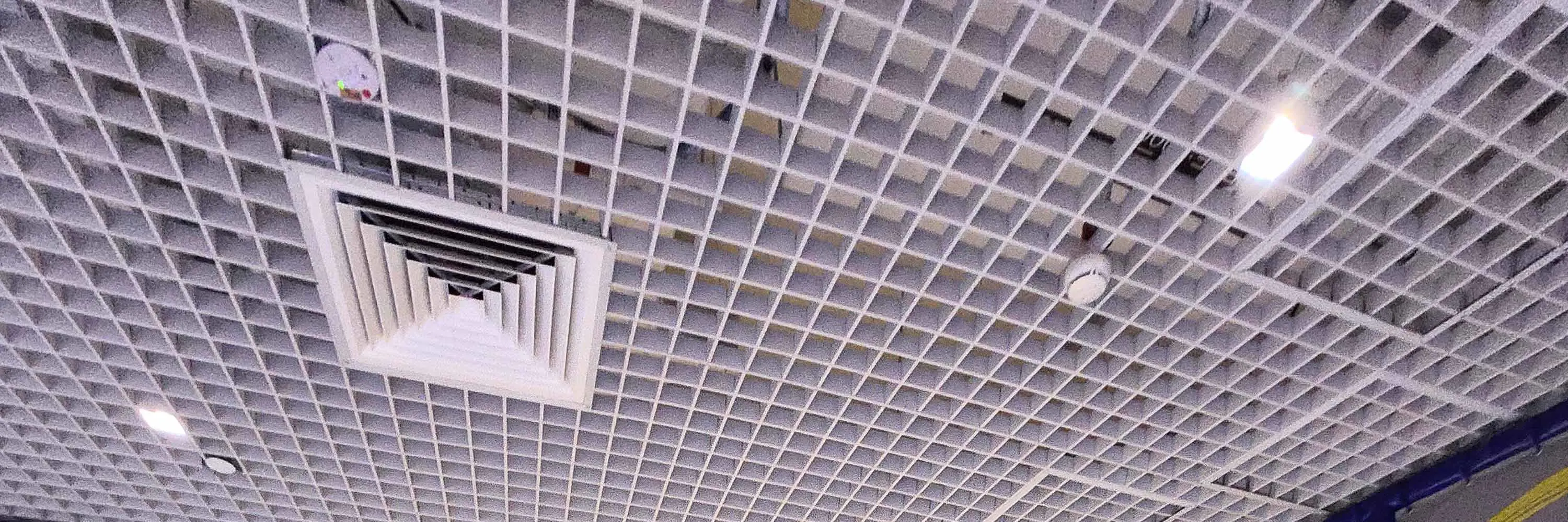 弹跳网