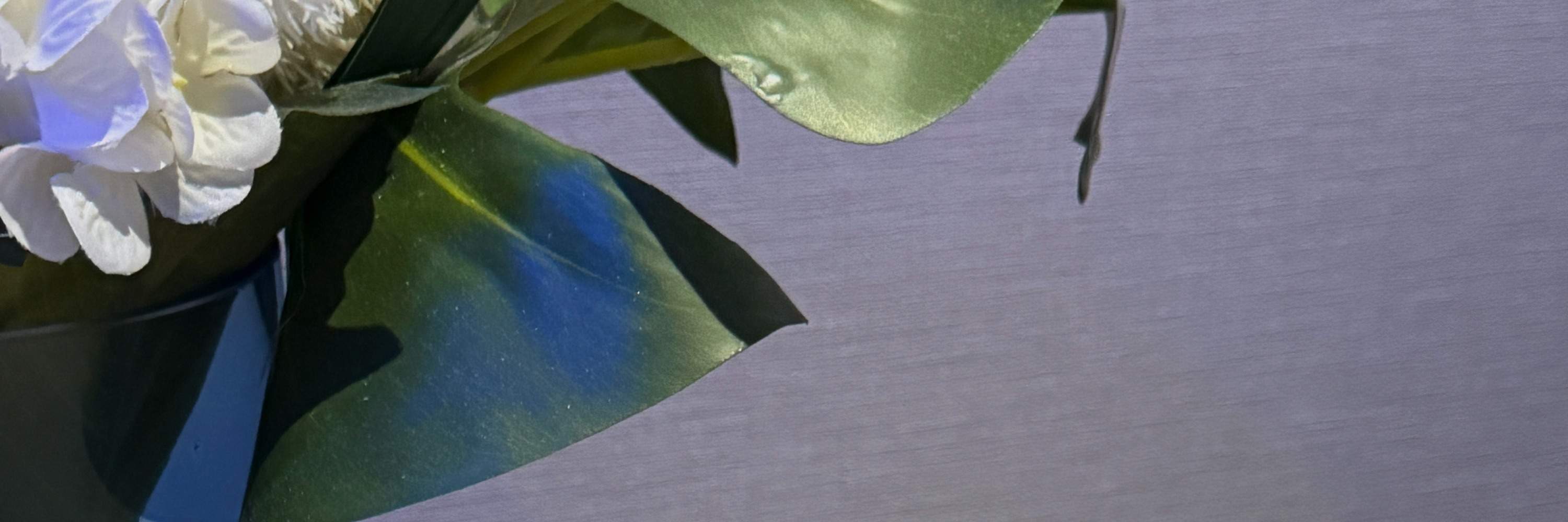 트리트먼트 종료 후 다과