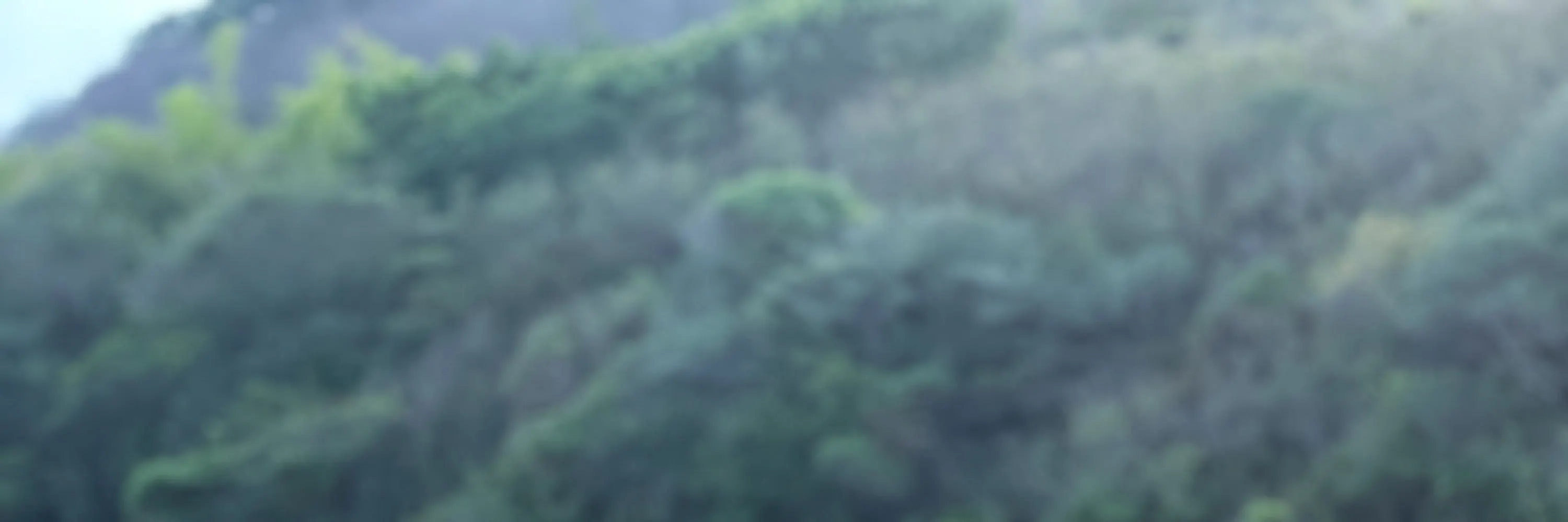 小琉球Fun琉小岛