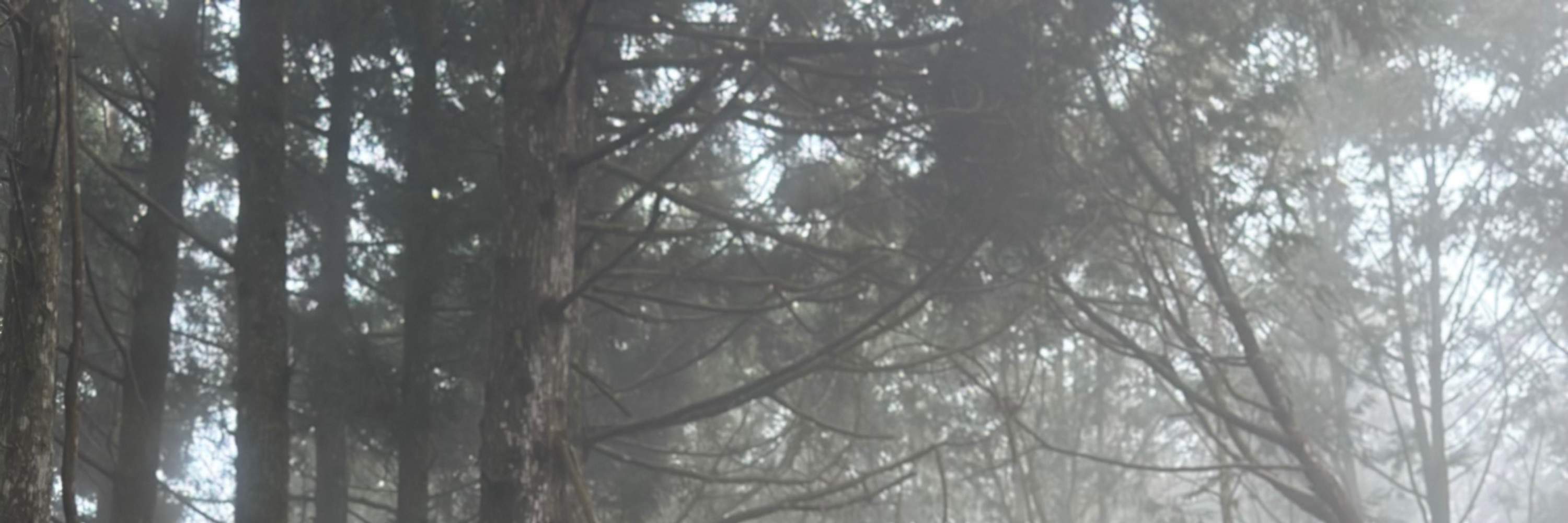 신주 우펑: 뤄산 임도 - 자전거로 천천히 달리기