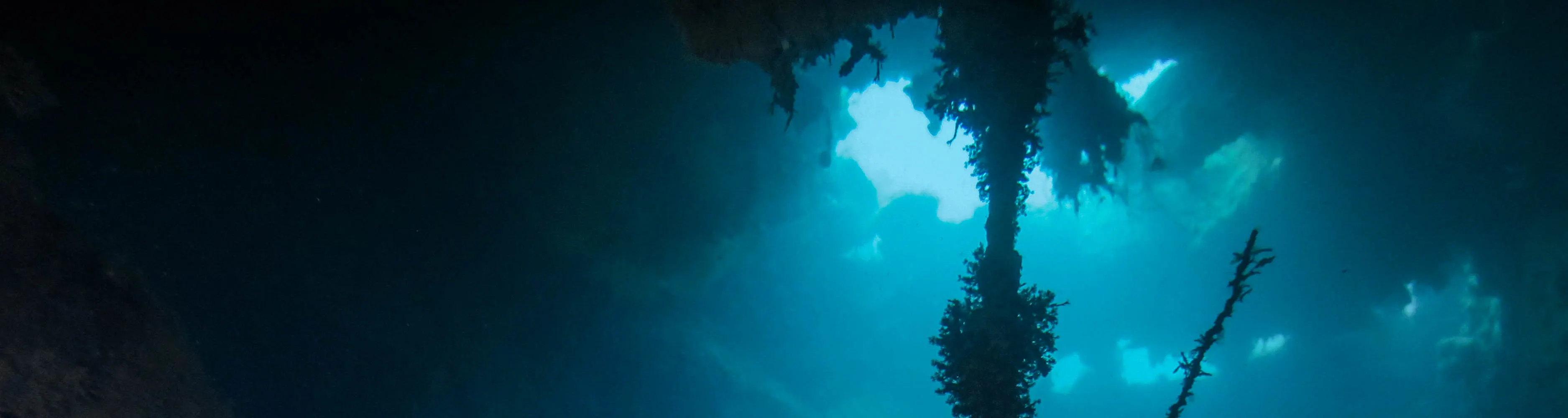 富氧空气（高氧）包括 2 次潜水