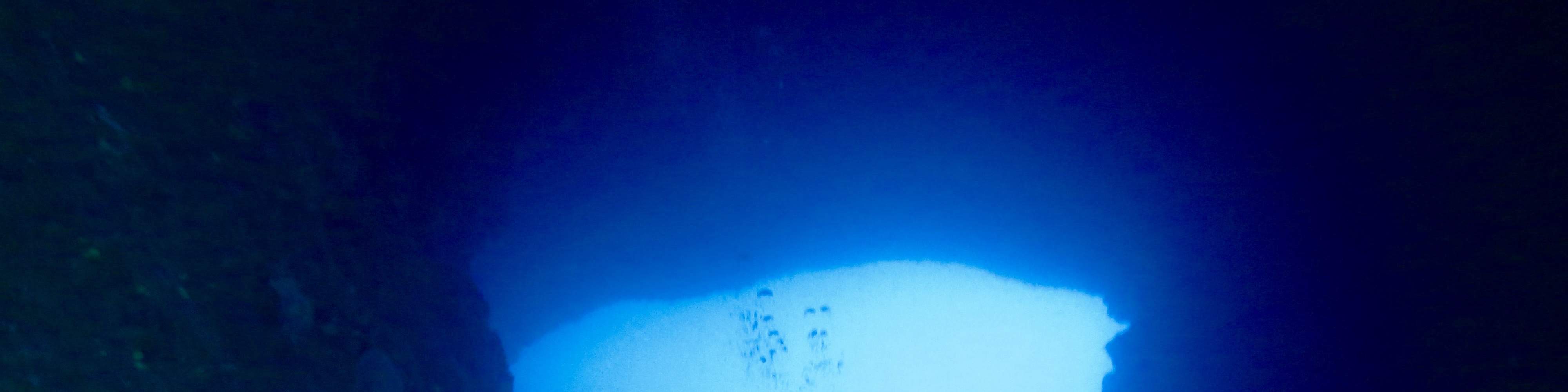 Escursione Subacquea di un Giorno Intero