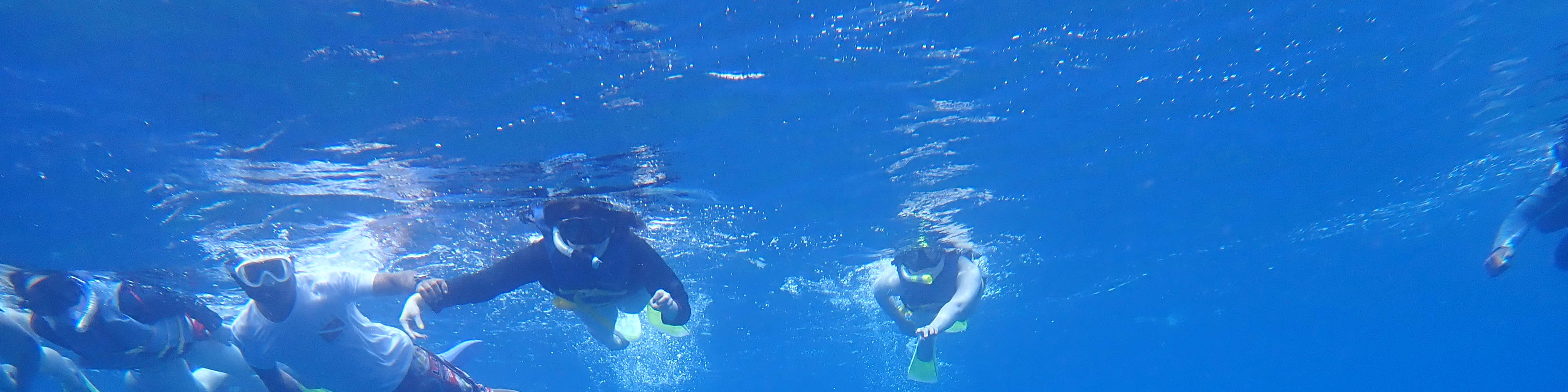 카약 거북이 스노클링