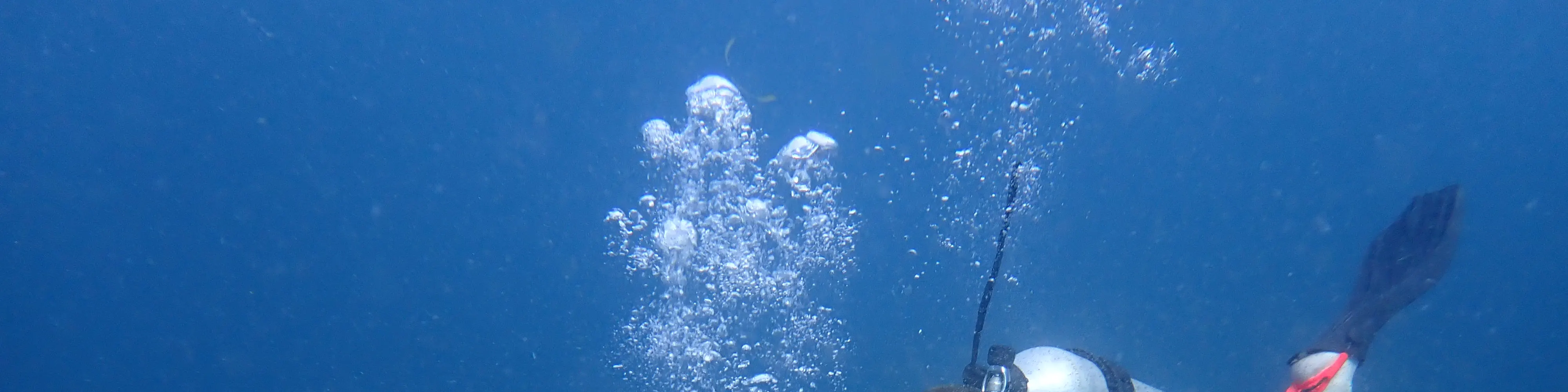 PADI 高级开放水域潜水员