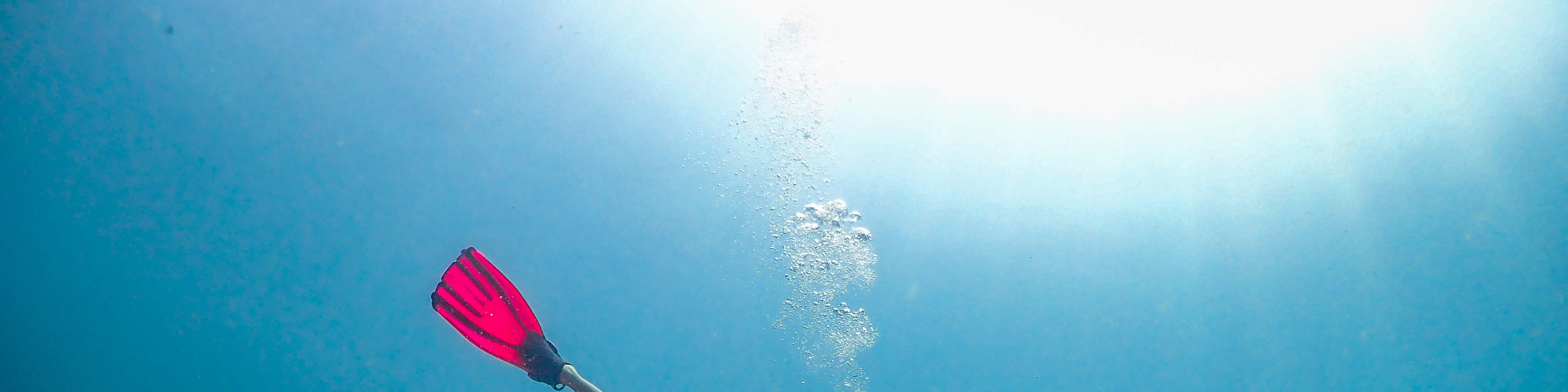 PADI Open Water Diver (E-learning)