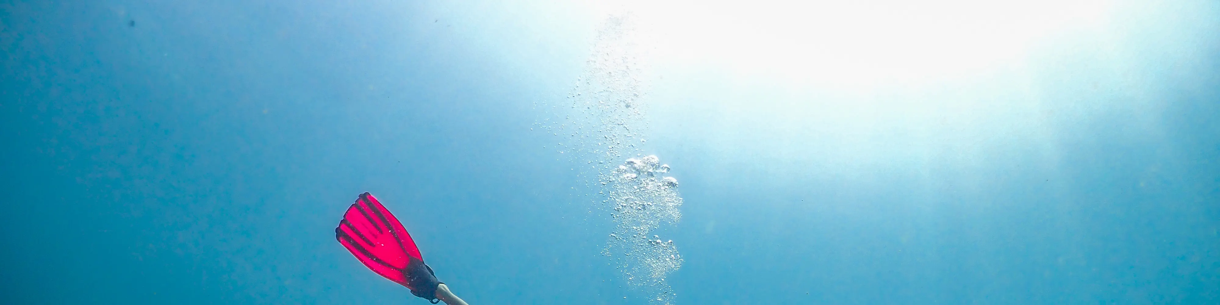 PADI 开放水域潜水员（电子学习）