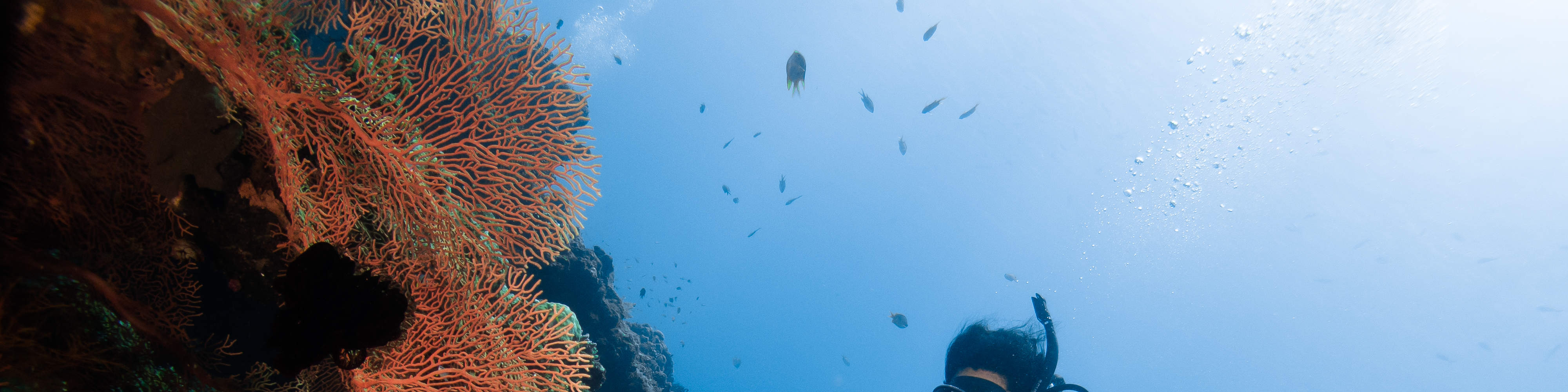 PADI Advanced Open Water Diver