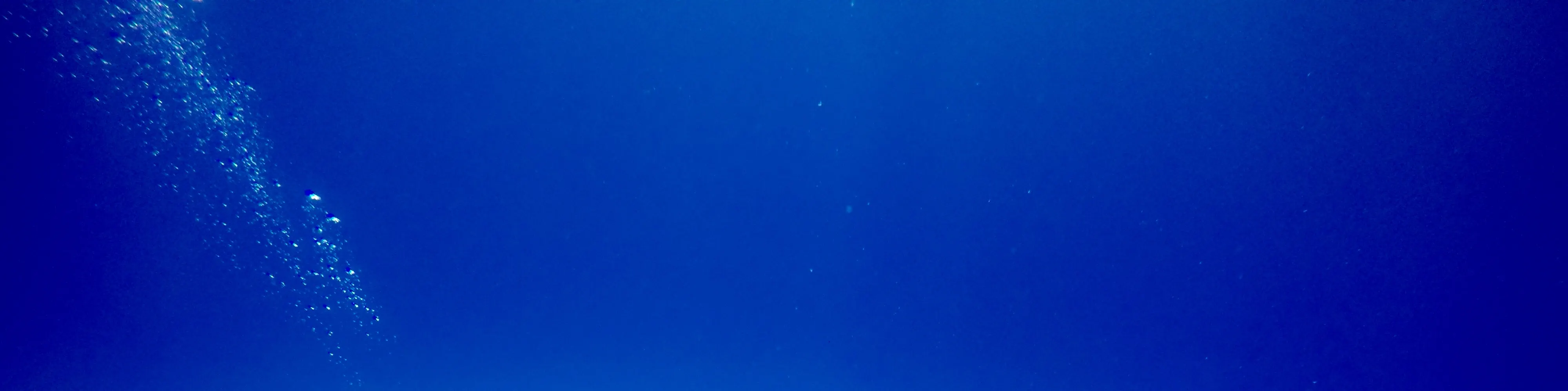 PADI 探索水肺潜水