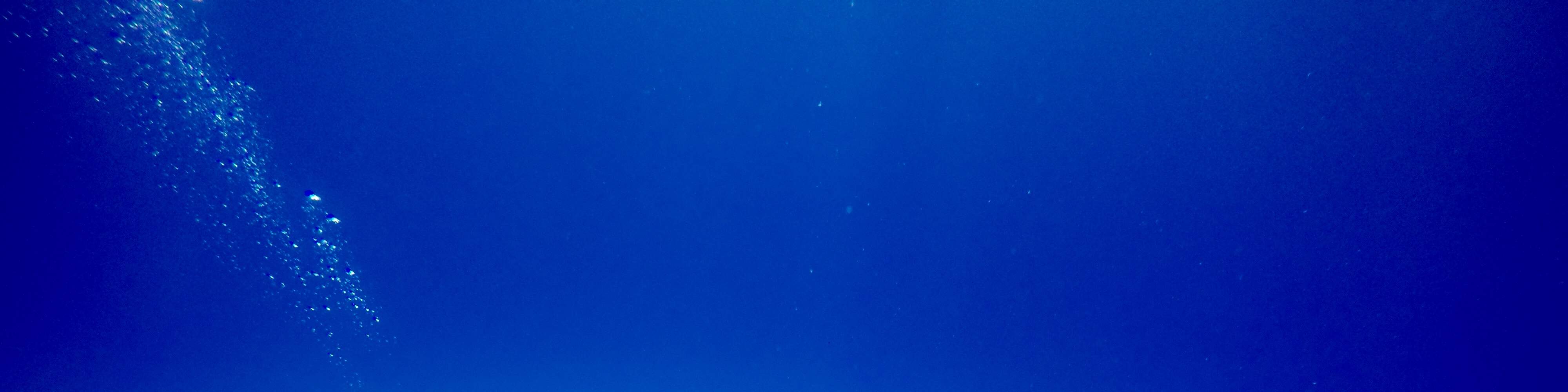 PADI水肺潛水體驗