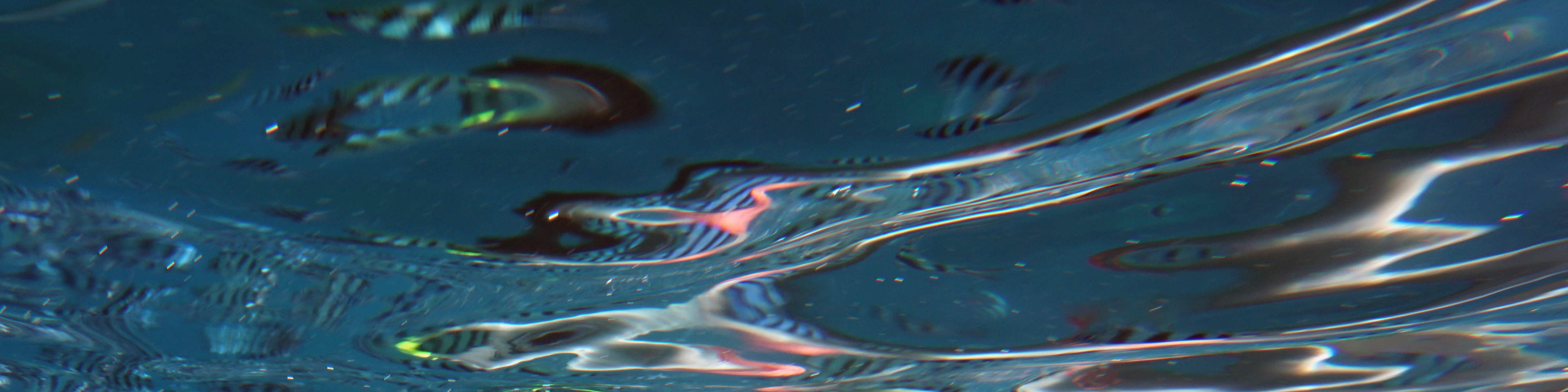 Perjalanan Snorkeling Sehari Penuh