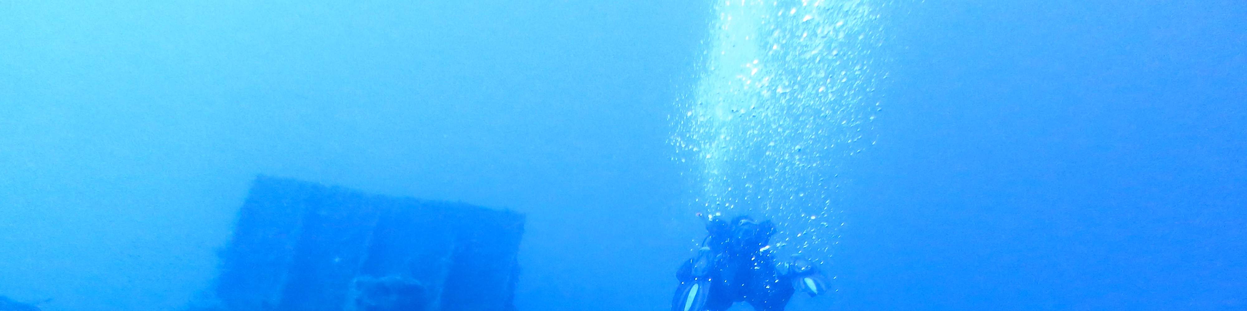 1日ダイビングトリップ