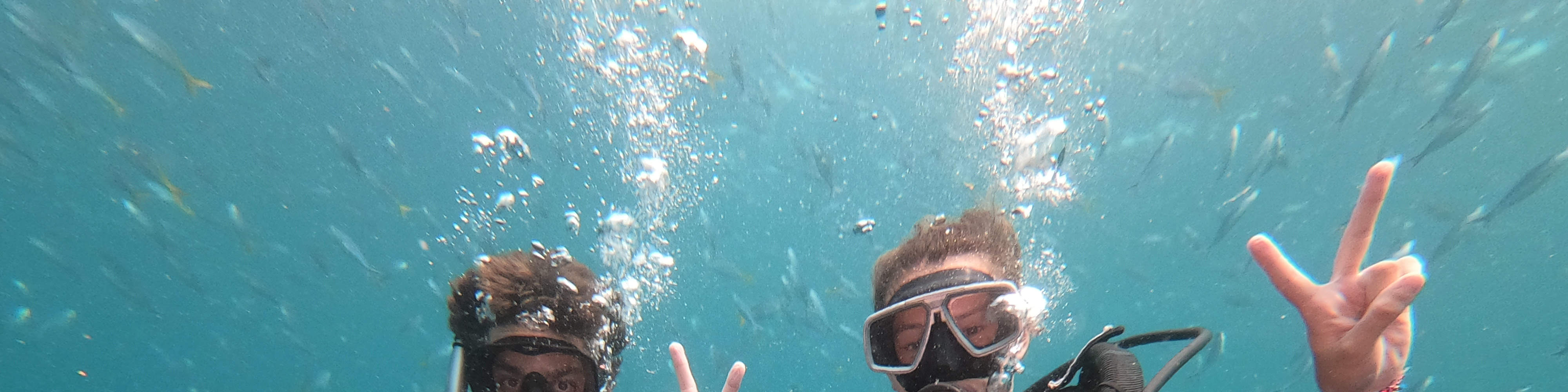 PADI Discover Scuba Diving