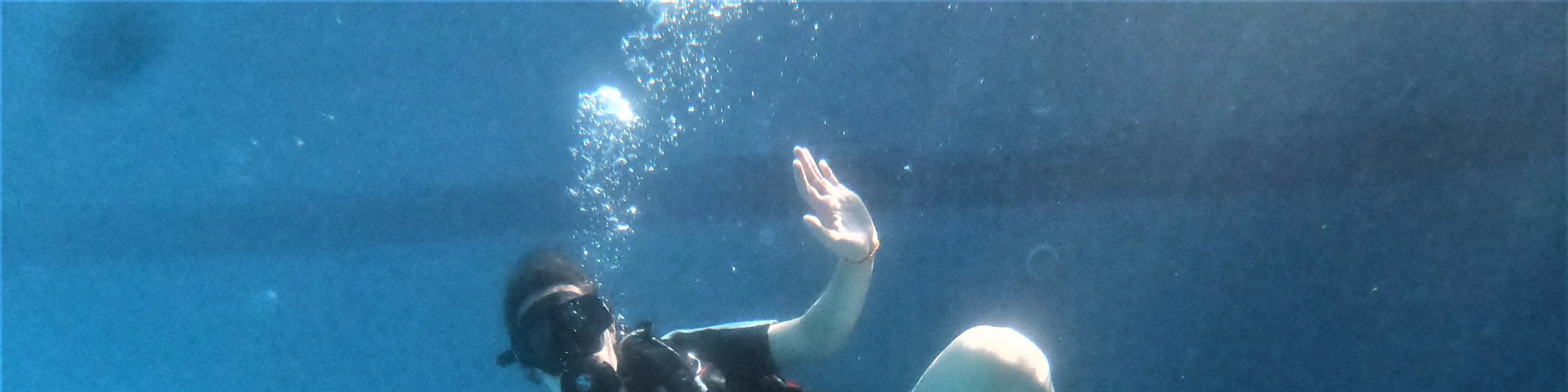 PADI 探索水肺潜水（电子学习）