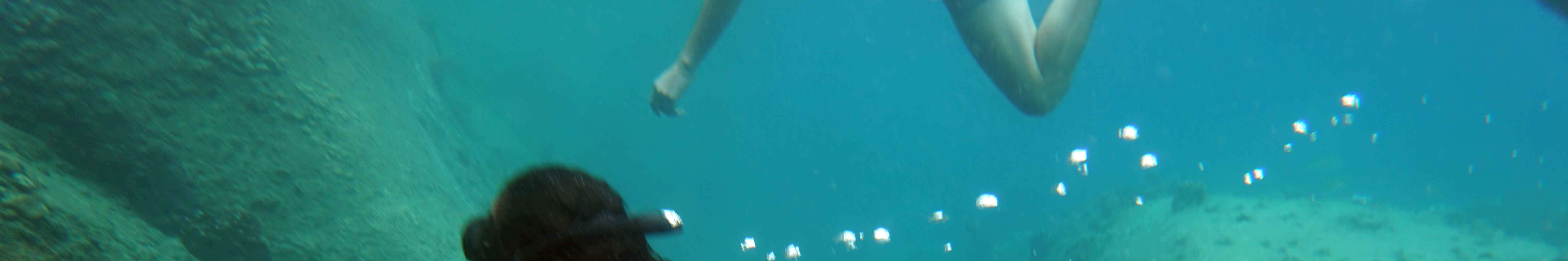 Perjalanan Snorkeling Sehari Penuh