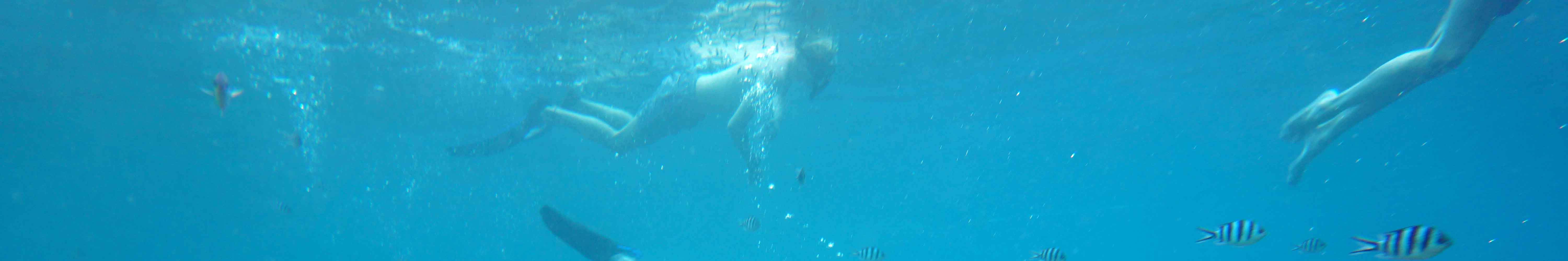 Gita di snorkeling di un'intera giornata