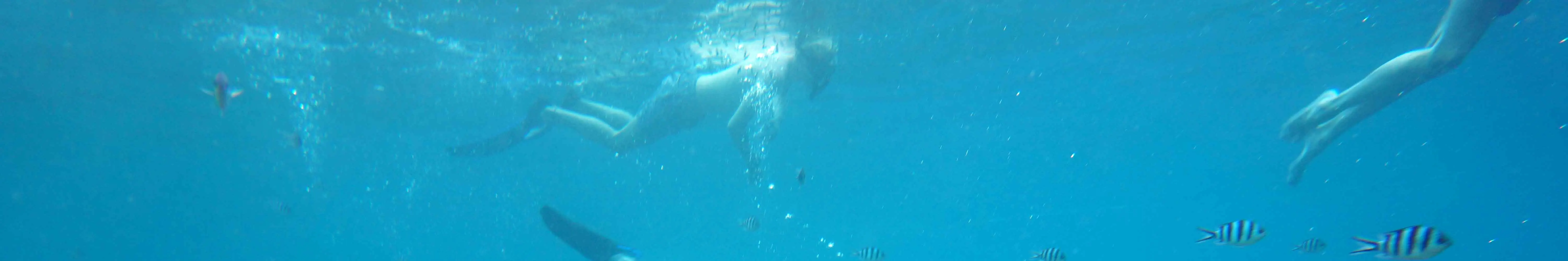 全日浮潜之旅