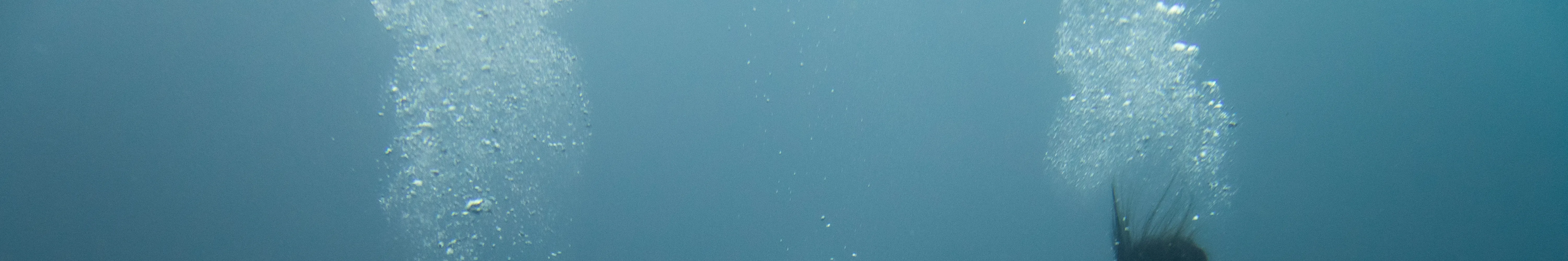 PADI 进阶开放水域潜水员 (Padangbai 和 Tulamben)
