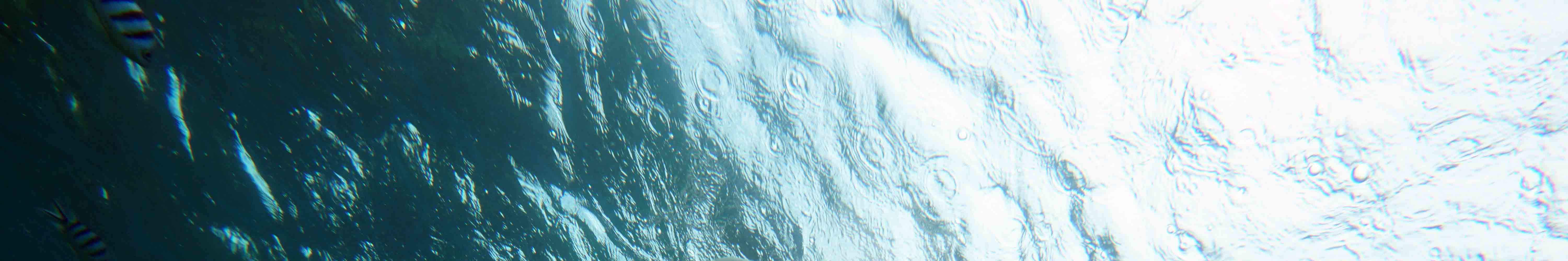 Gita di snorkeling di un'intera giornata