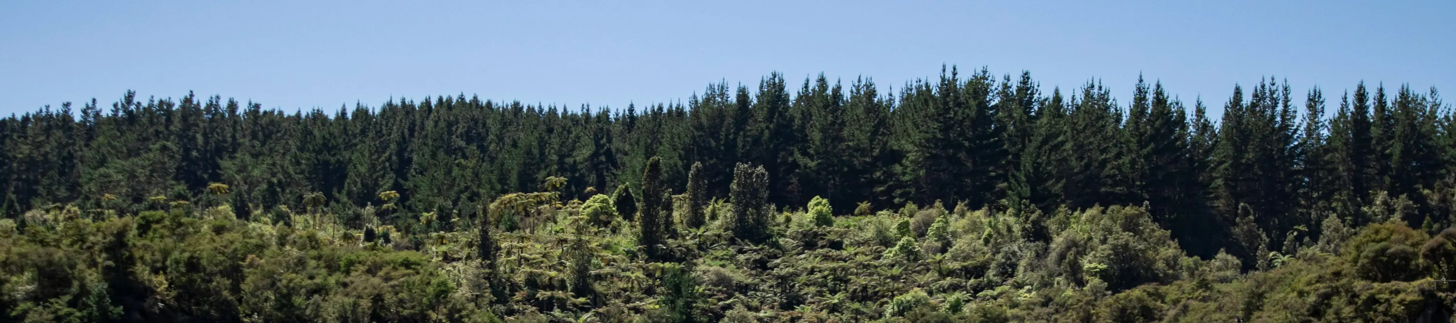 Orakei Korako