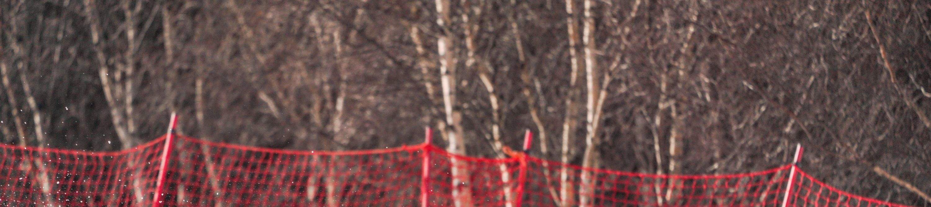 Pengambilan dan penghantaran stesen kereta api laju Zhangjiakou/Stesen Chongli ke dan dari Ladang Ski Wanlong