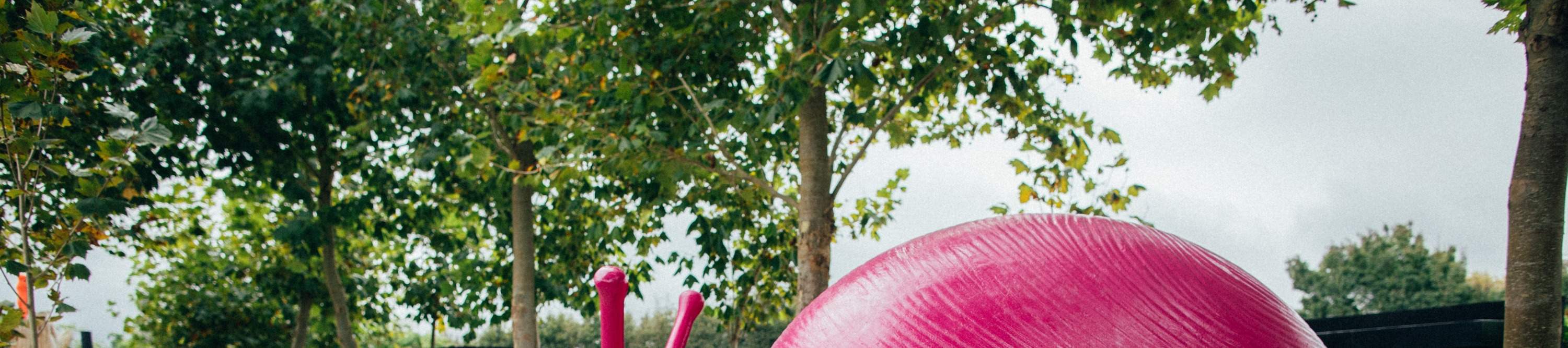 Admirez des artistes locaux talentueux présentant leurs chefs-d'œuvre à Matakana.