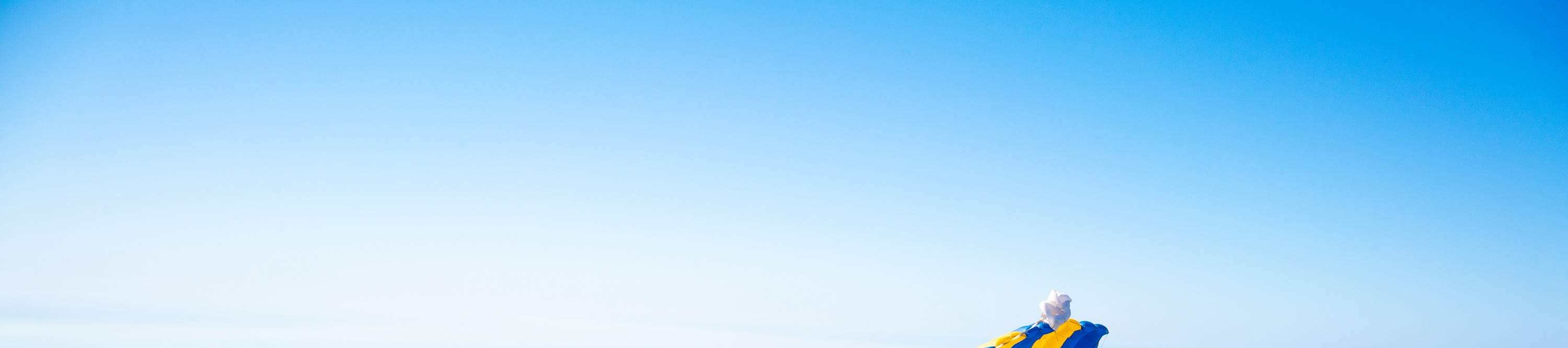 Прыжок с парашютом с другом