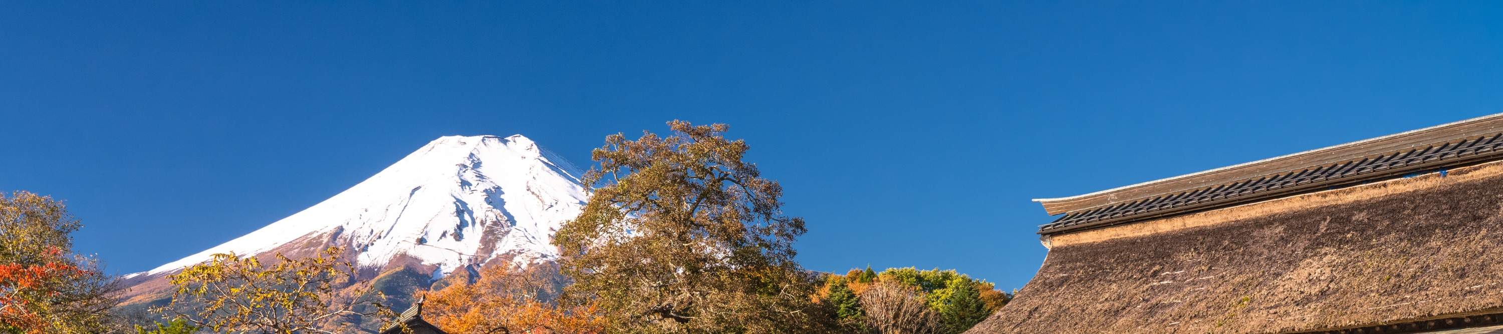 東京発の山梨富士山新倉山浅間公園・山中湖花の都公園日帰り 東京発の山梨富士山新倉山浅間公園・山中湖花の都公園日帰り