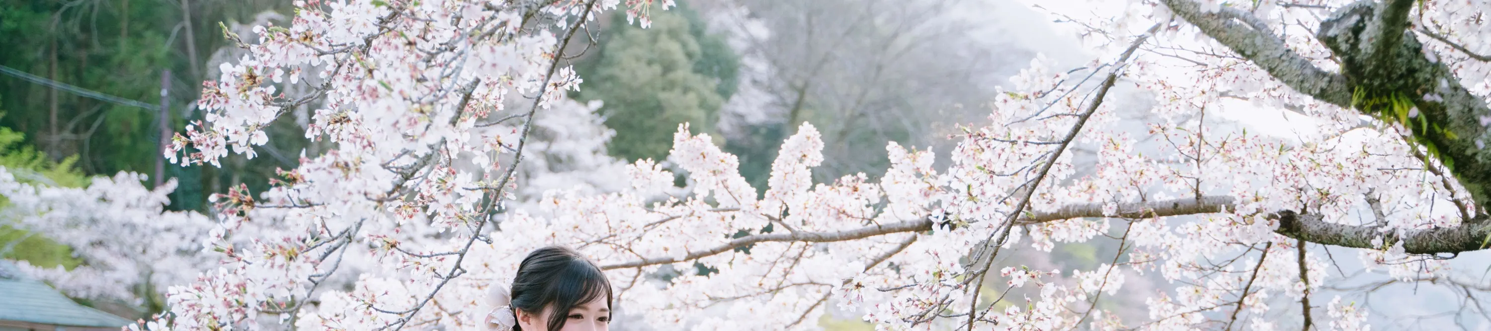 京都岚山樱花