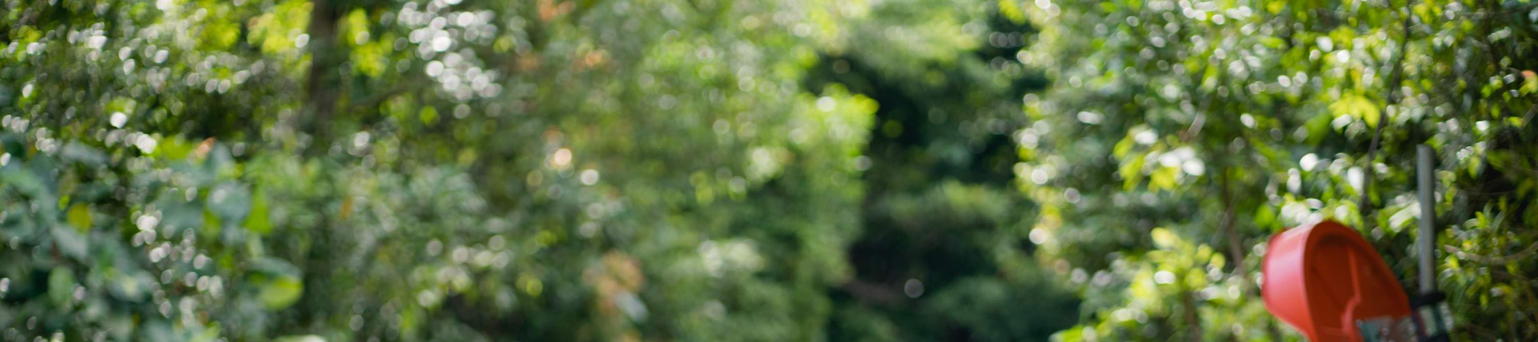 圣淘沙斜坡滑车