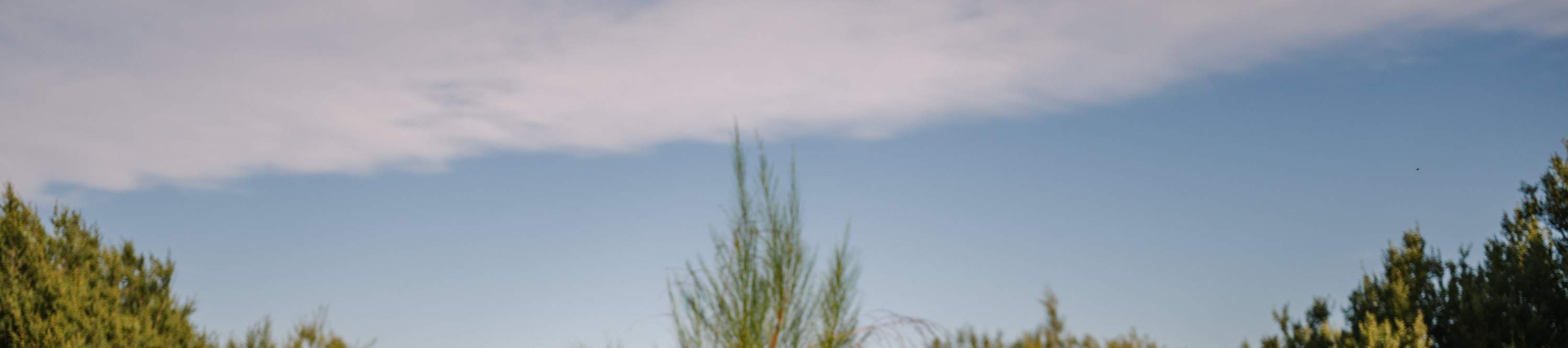 sanctuary for mind and body