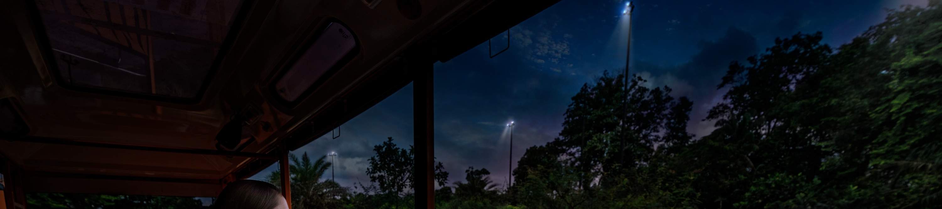 Ночное сафари