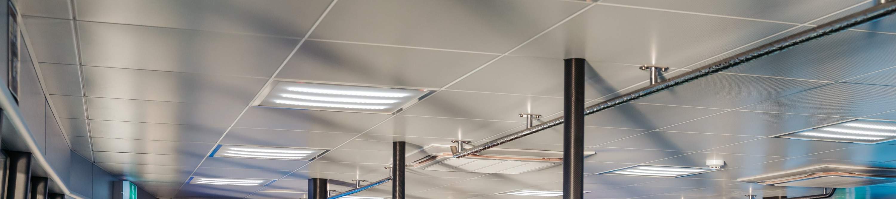 ホエールウォッチング