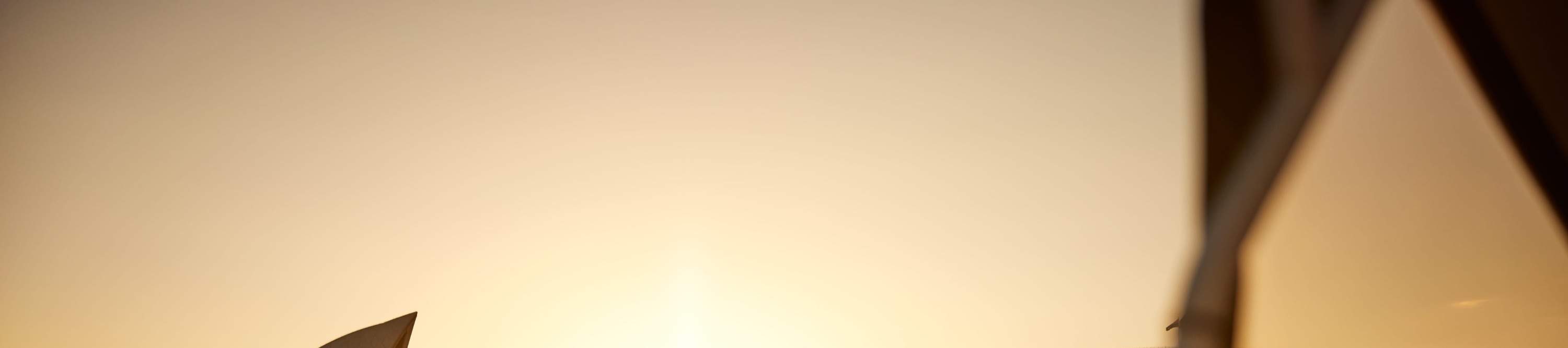 Ammira lo splendido tramonto su Farm Cove con viste mozzafiato sul porto