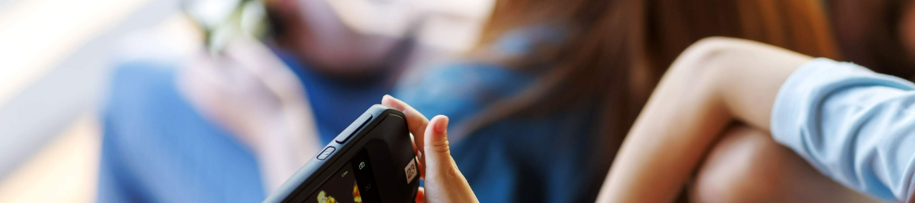 ローンパインコアラサンクチュアリ 入場チケット