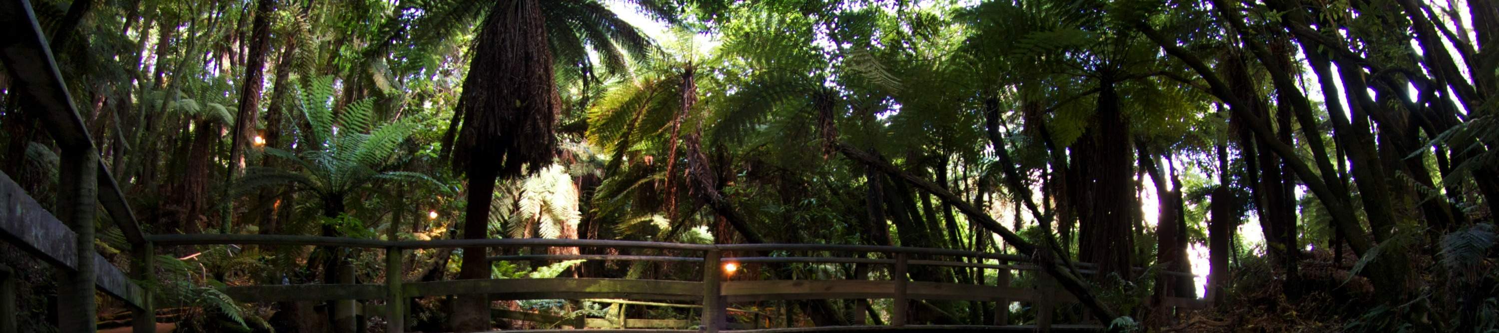 Reines Wasser der Puna