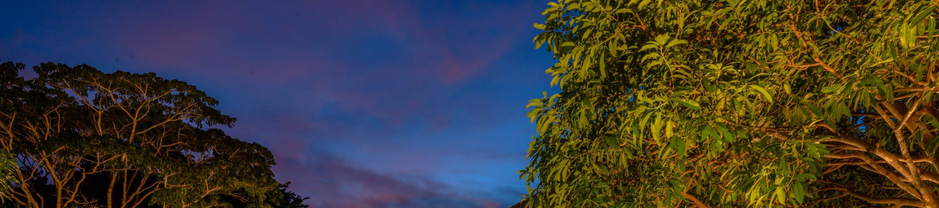 수영장과 주택의 야경