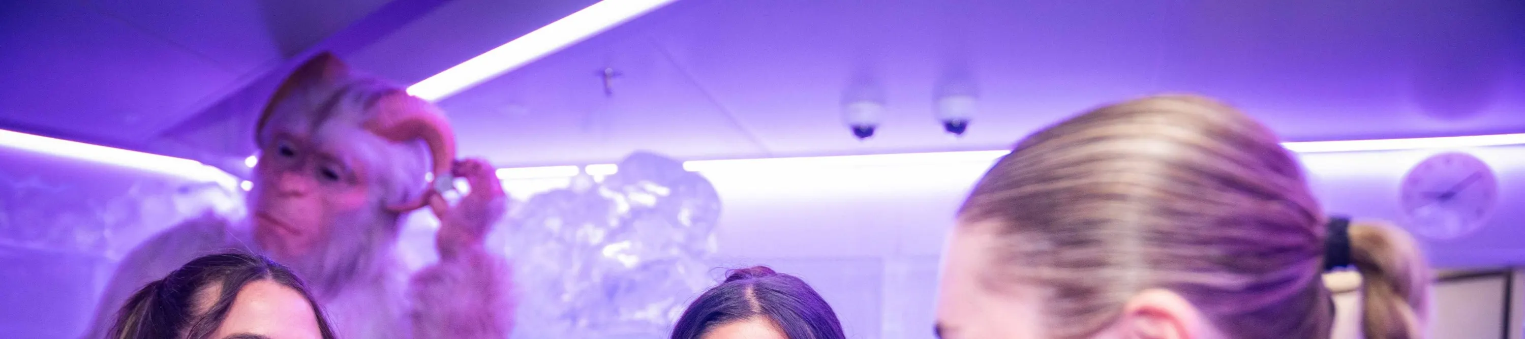 游览冲浪者天堂冰吧 (IceBar Surfers Paradise)，逃离黄金海岸的炎热