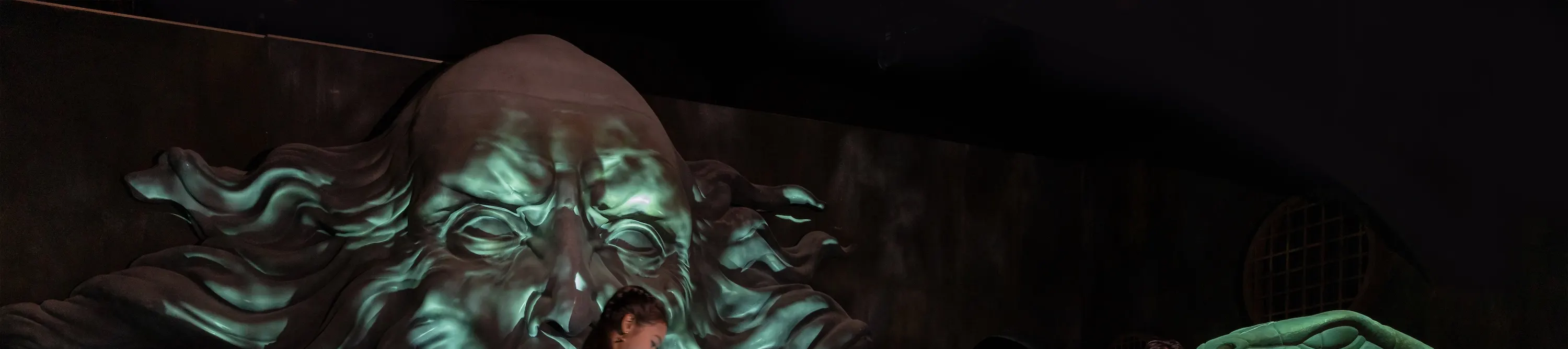 哈利波特：魔法幻象 (Harry Potter: Visions of Magic)