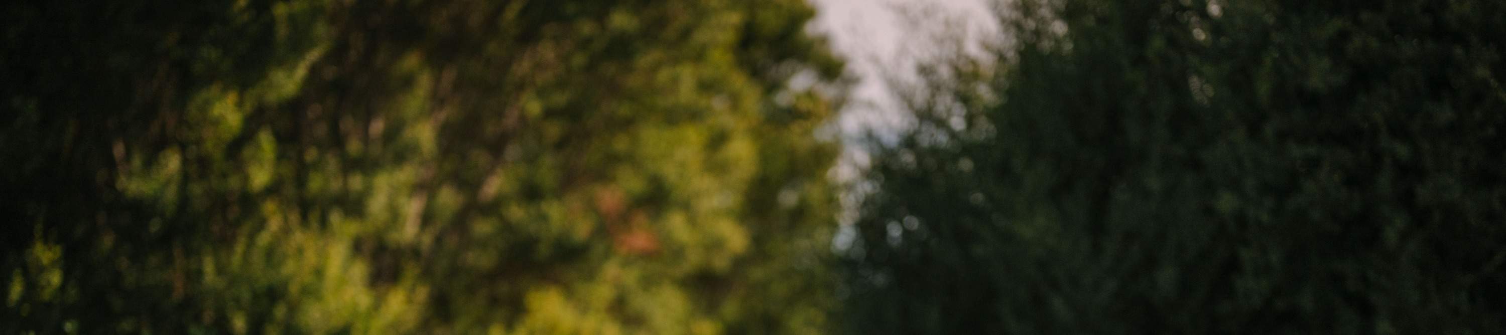 Alba Thermal Springs' serene retreat